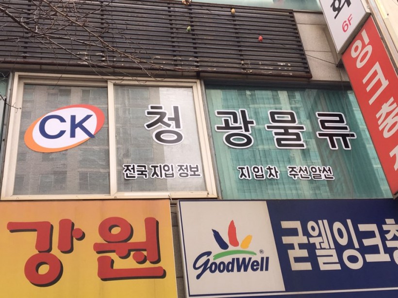 19c1bab663fc36568bdea983267e252f_1482138